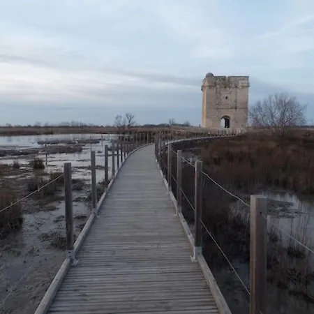 Spacieux Front De Daire Le Grau-du-Roi
